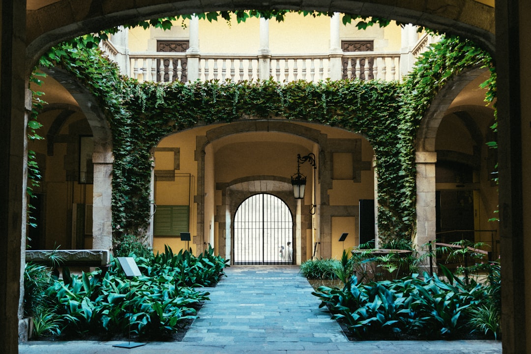 Professionally designed outdoor living space