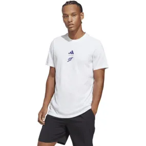 adidas Graphic Thiem Training Tee