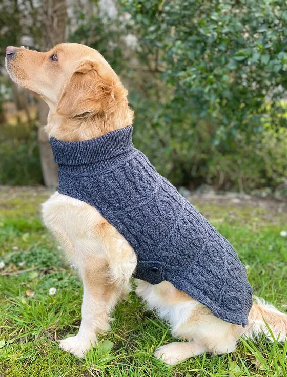 Aran Dog Coat