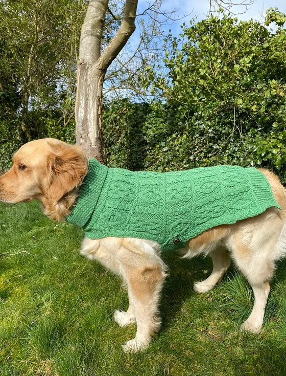 Aran Dog Coat