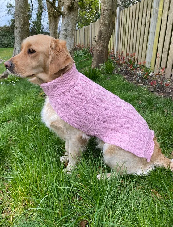 Aran Dog Coat