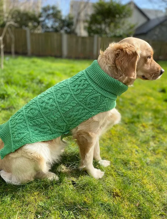 Aran Dog Coat