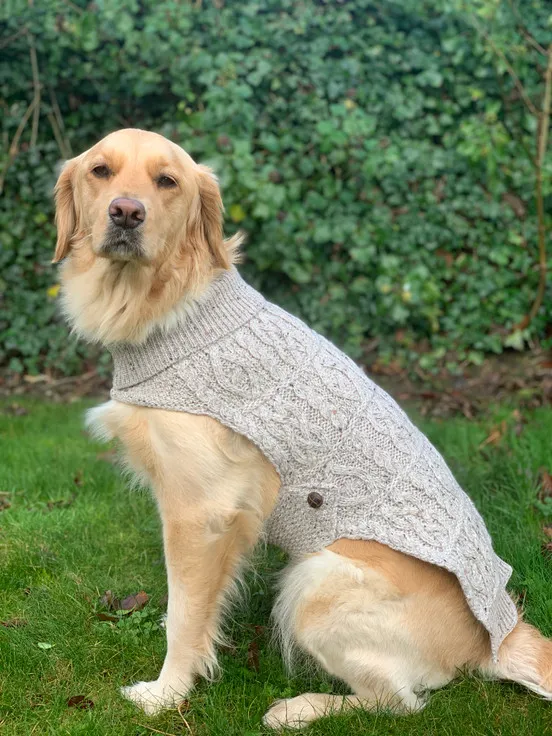 Aran Dog Coat