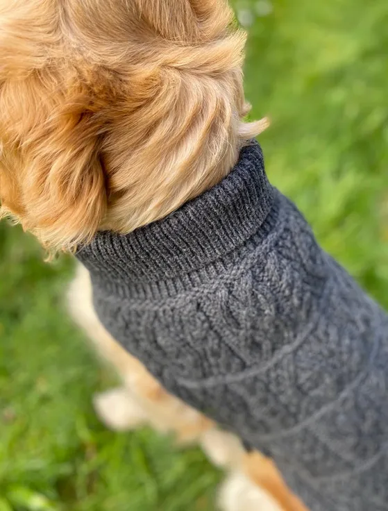 Aran Dog Coat