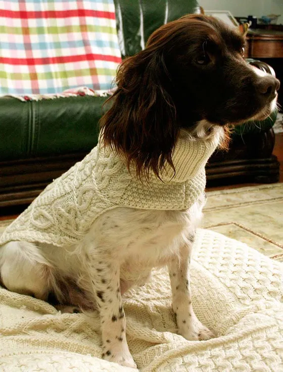 Aran Dog Coat