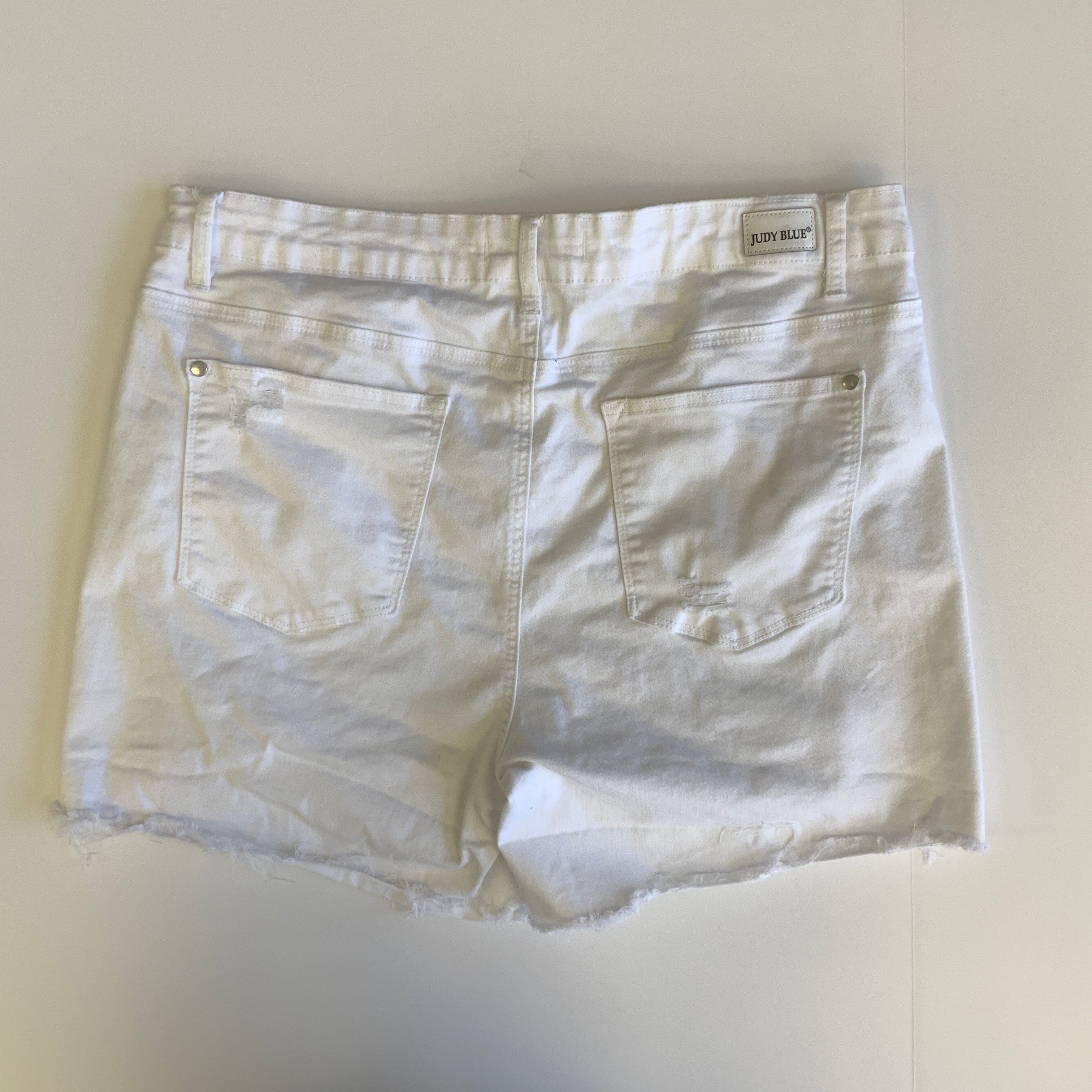 Shorts By Judy Blue  Size: 2x