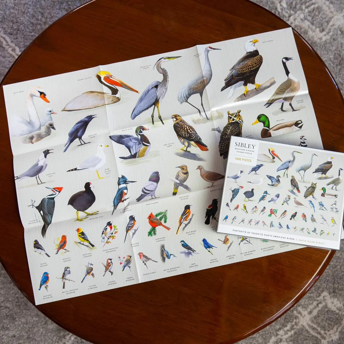 Sibley Backyard Birding 1000 Piece Puzzle